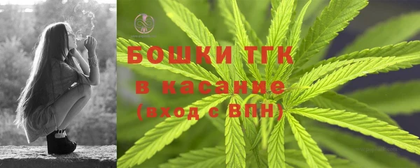 шишки Вяземский